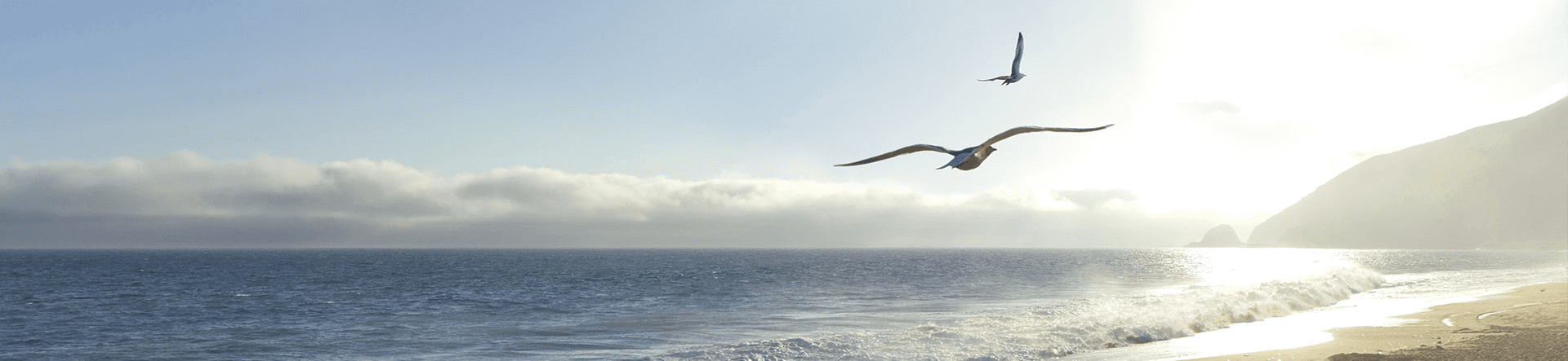 Top 50 Dividend Yield